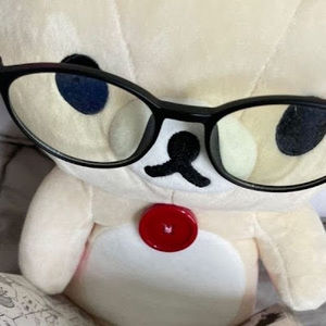 Meet your Posher, Kai